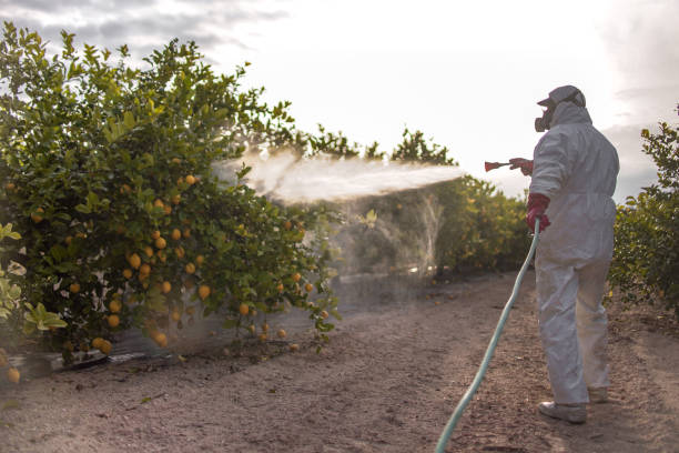 Pest Control Cost in Othello, WA