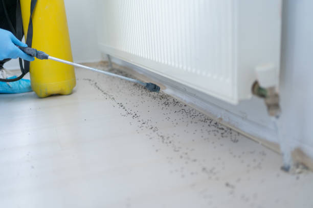 Best Pest Control for Businesses  in Othello, WA