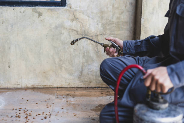 Best Pest Inspection Near Me  in Othello, WA